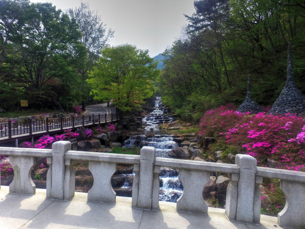 大邱の美しい川