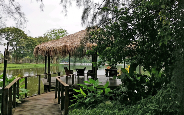 レストラン内の水辺の風景